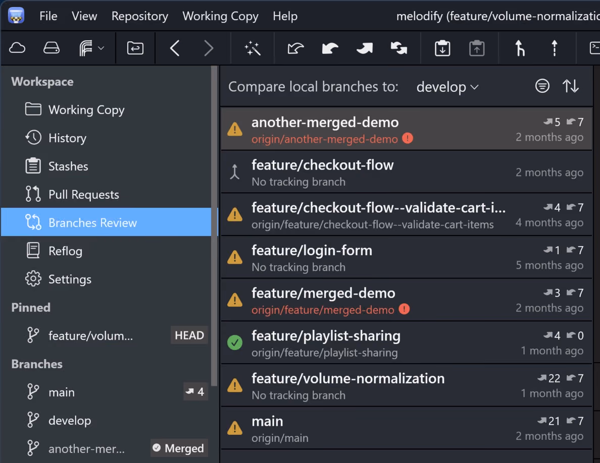 Tower 14 for Windows – The new "Branches Review" view