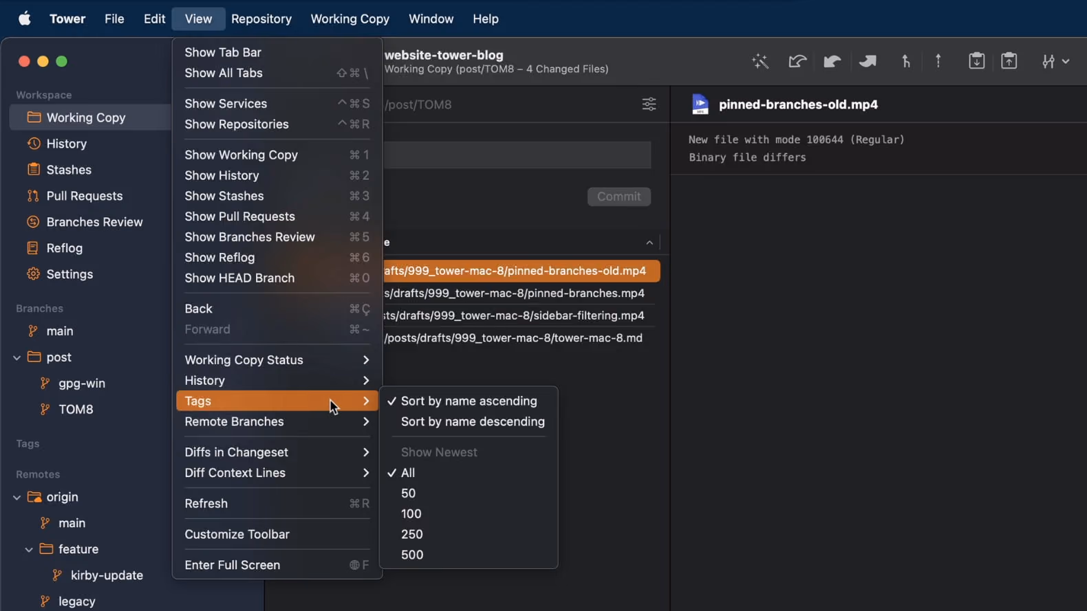 Filter Tags and Remote Branches