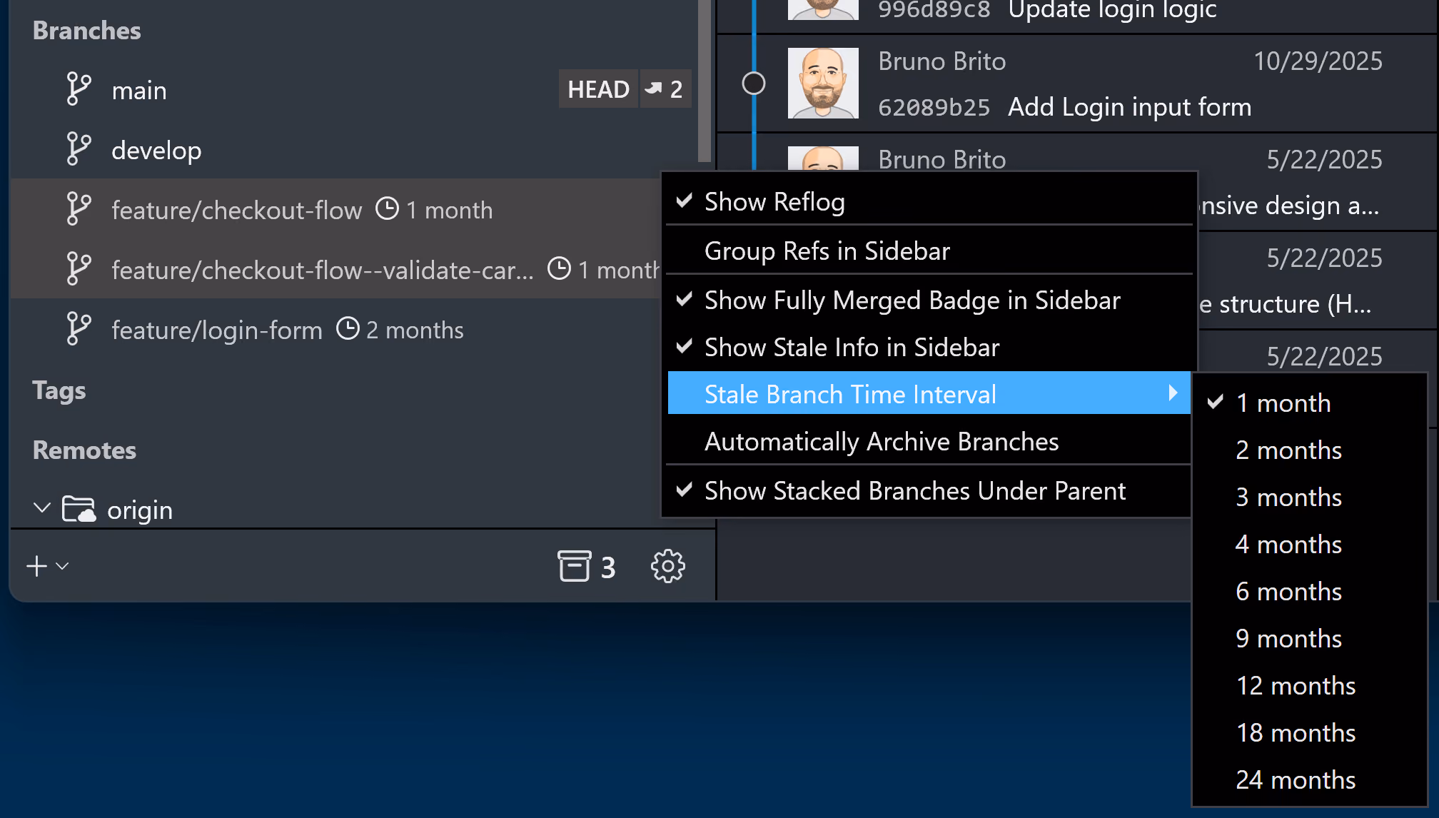 Tower 13 for Windows – Stale Branch Interval Settings