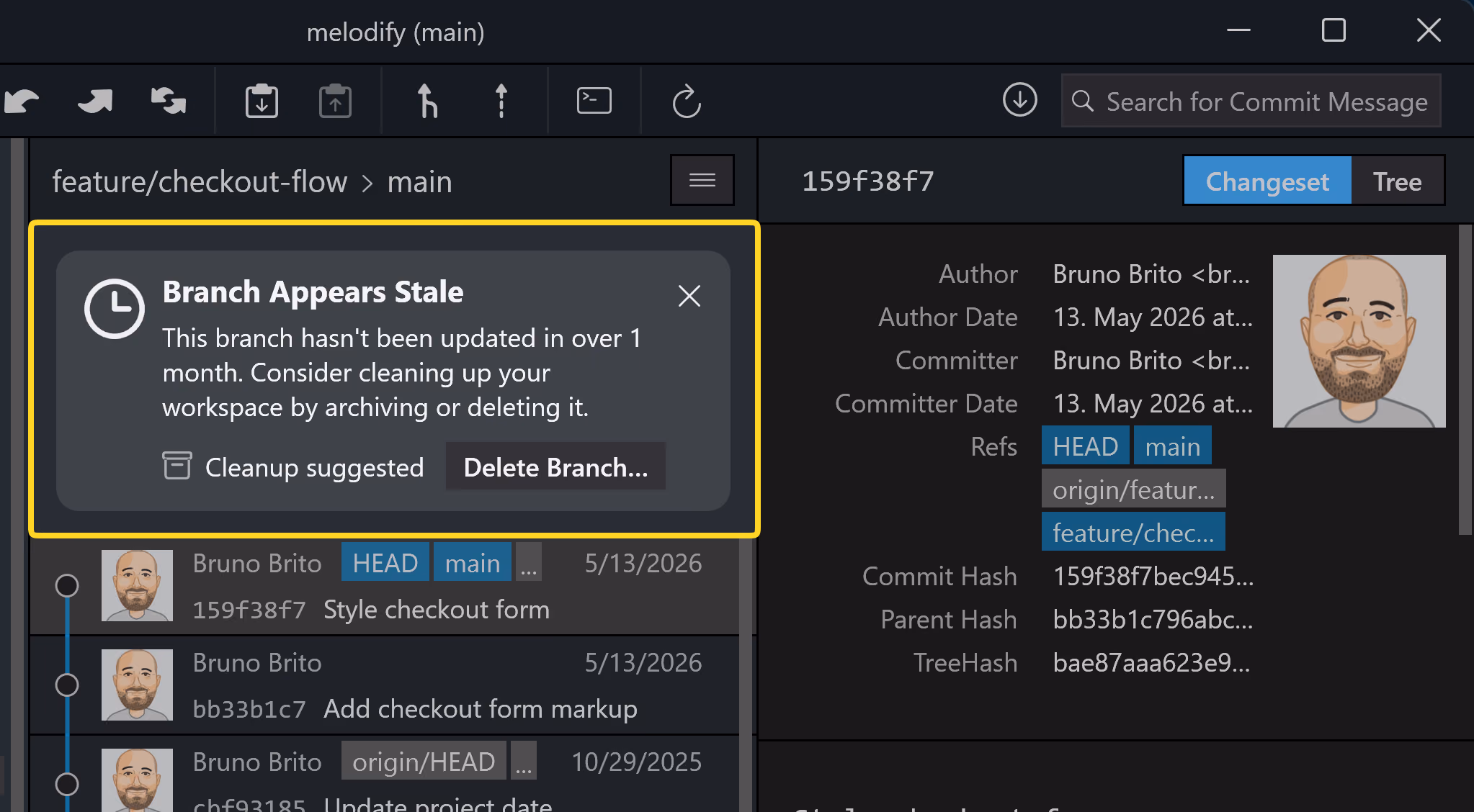 Tower 13 for Windows – "Stale Branch" hint view for quick deletion