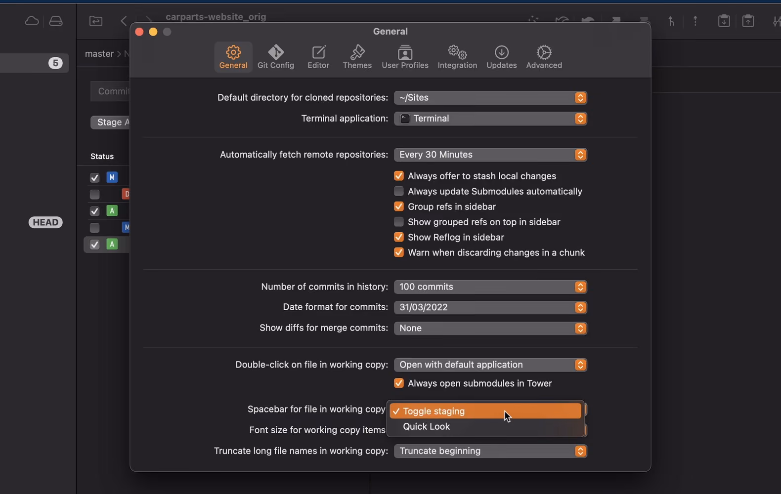 Spacebar for file in working copy option