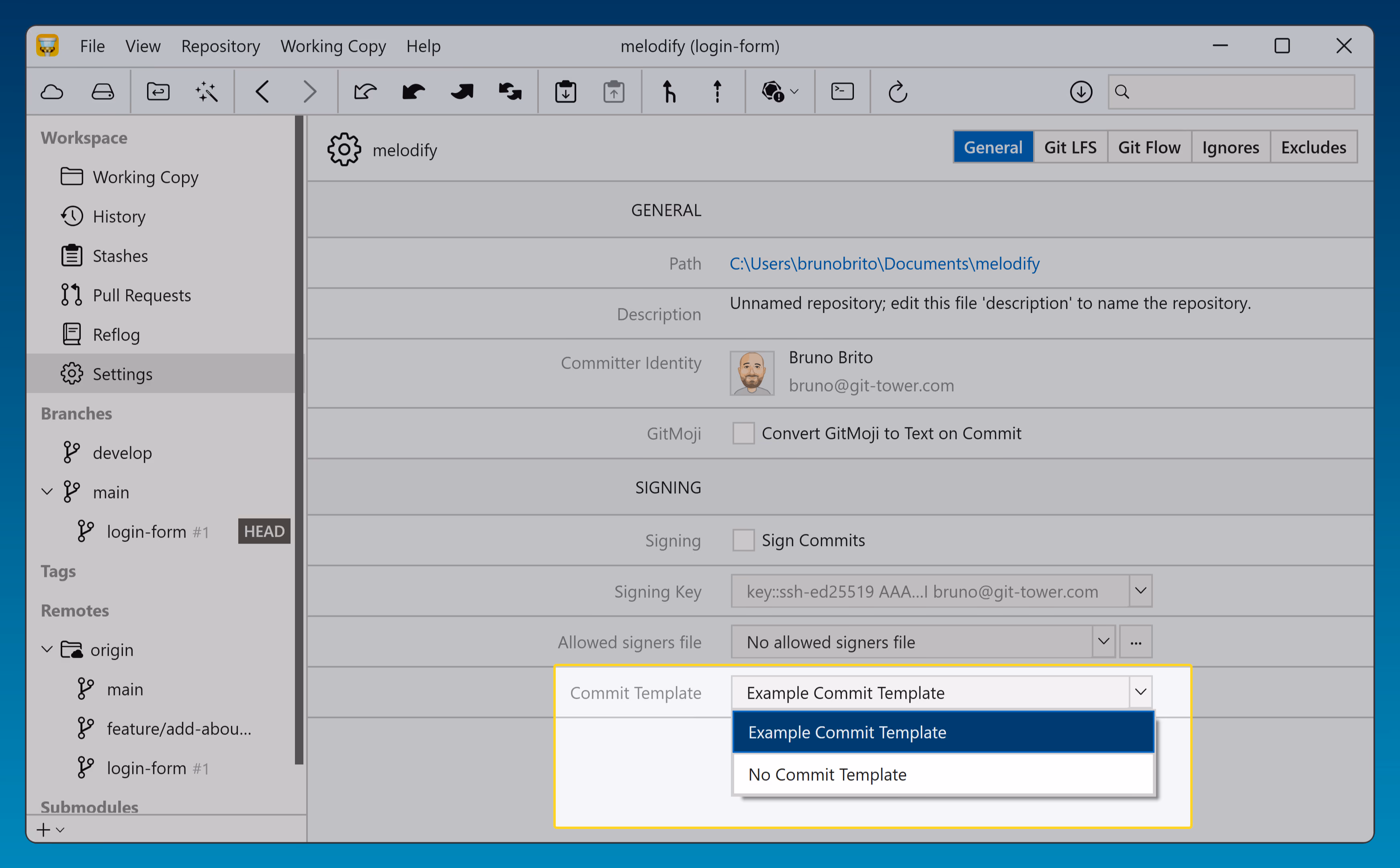 Tower 11 for Windows – Repository Settings