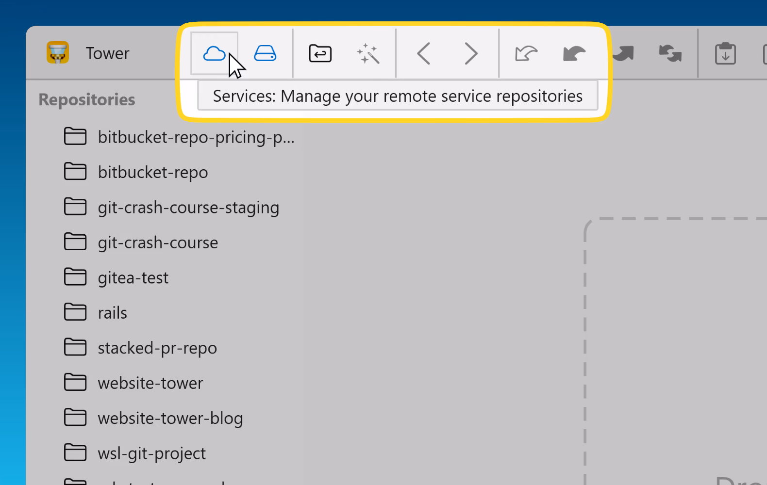 Tower 9.1 for Windows — "Services" in the Toolbar