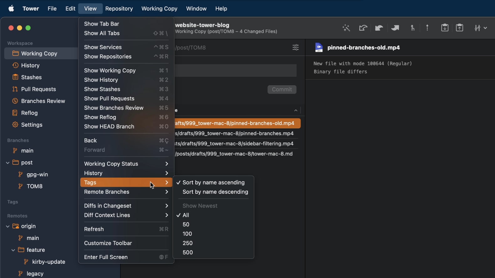 Filter Tags and Remote Branches